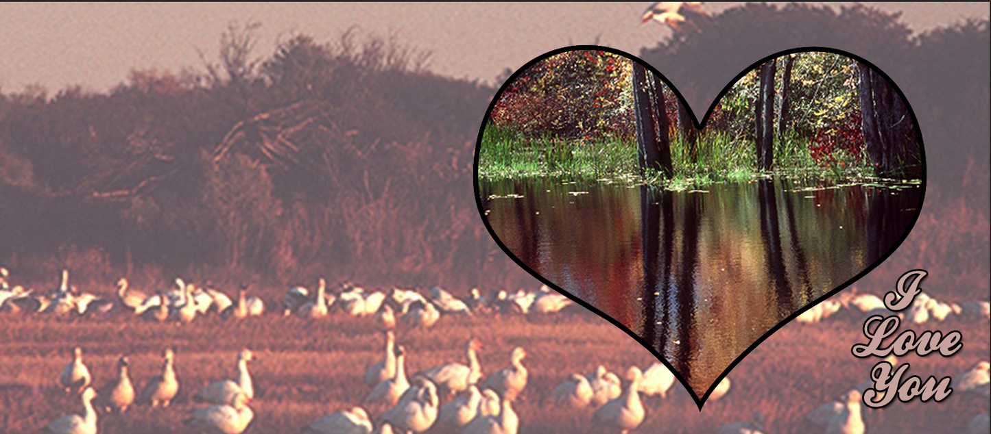 Rustic Nature Love – Custom Photo Print Ceramic Mug (11oz) - Personalized Gift for Wildlife Lovers