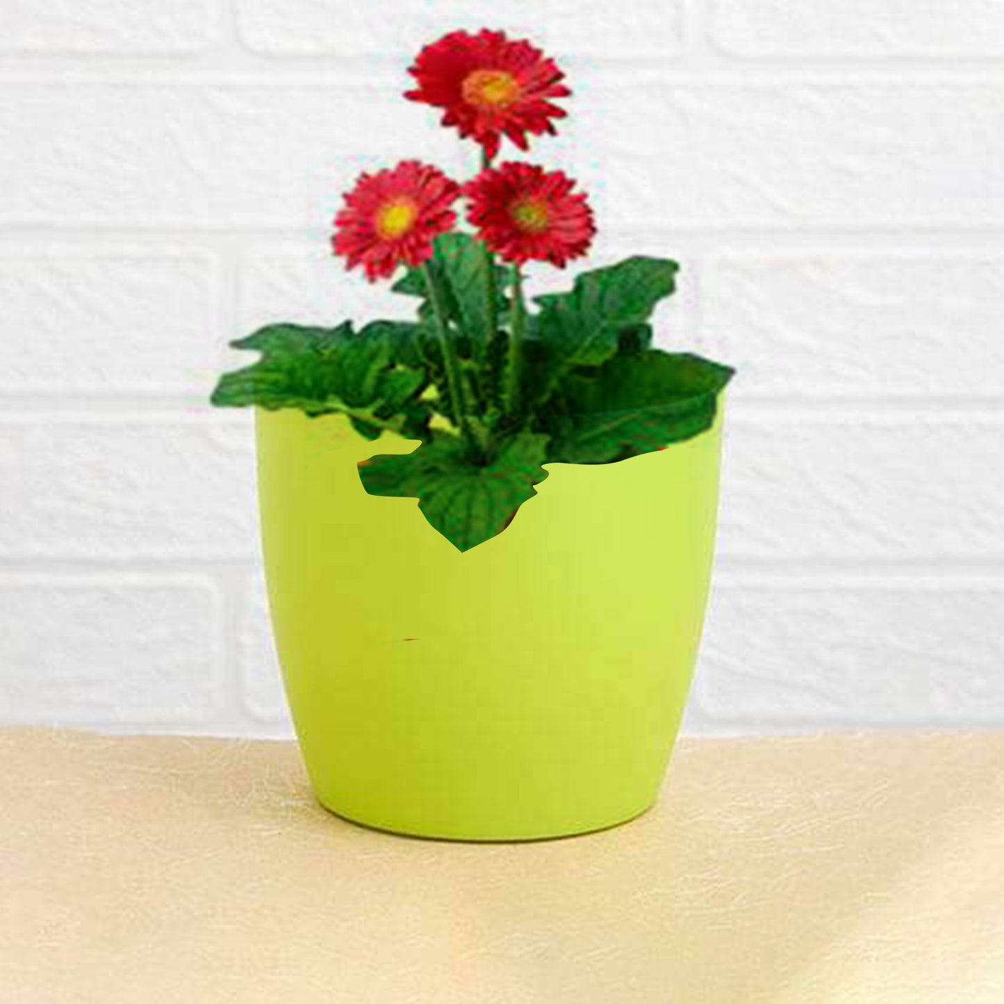 1191 Flower Pots Round Shape For Indooroutdoor Gardening - Happy Price - Image 4