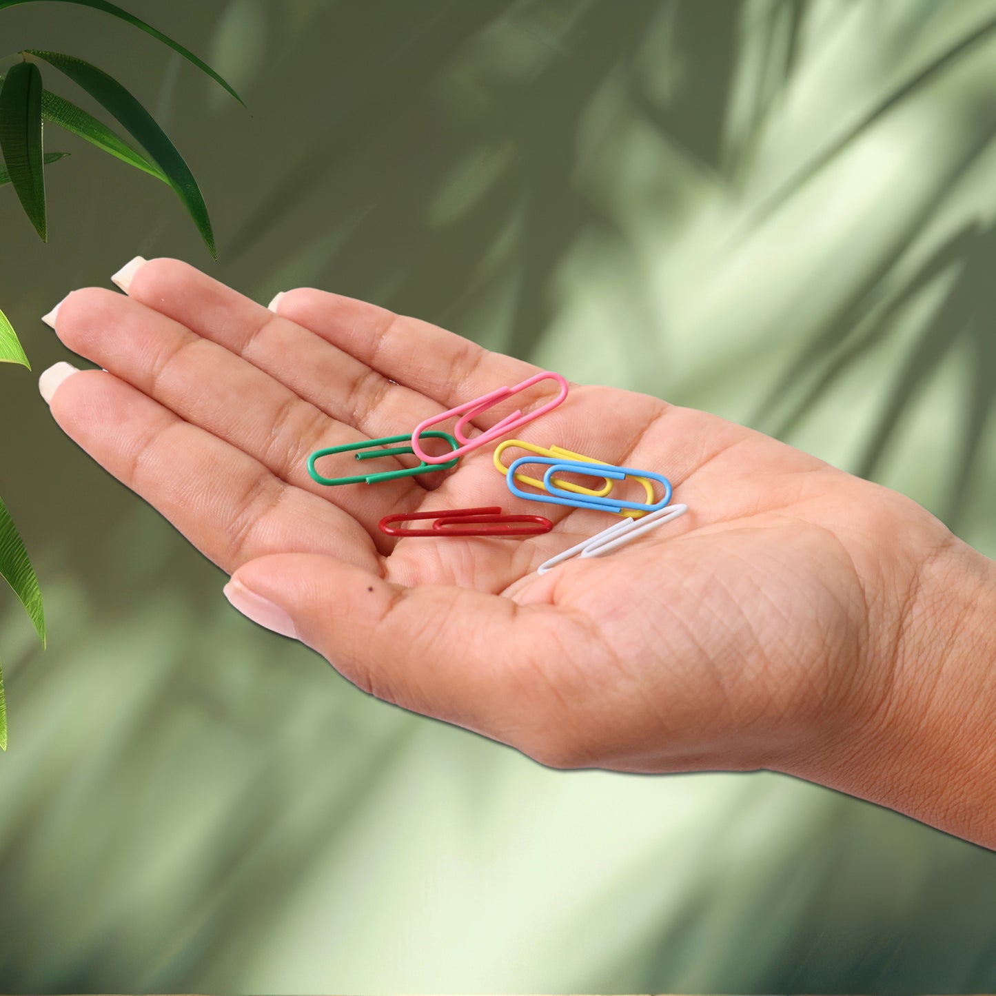 Multicolor-coated Paper Clips Approx (250pc Set) - Happy Price - Image 6