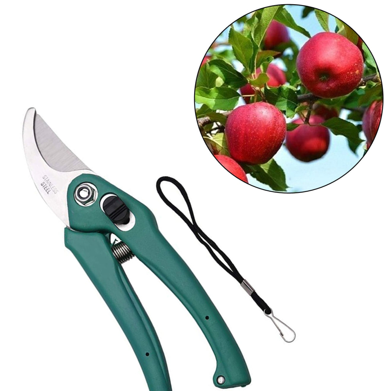 a Garden Shears Pruners Scissor For Cutting Branches Flowers Leaves Pruning Seeds - Happy Price - Image 1