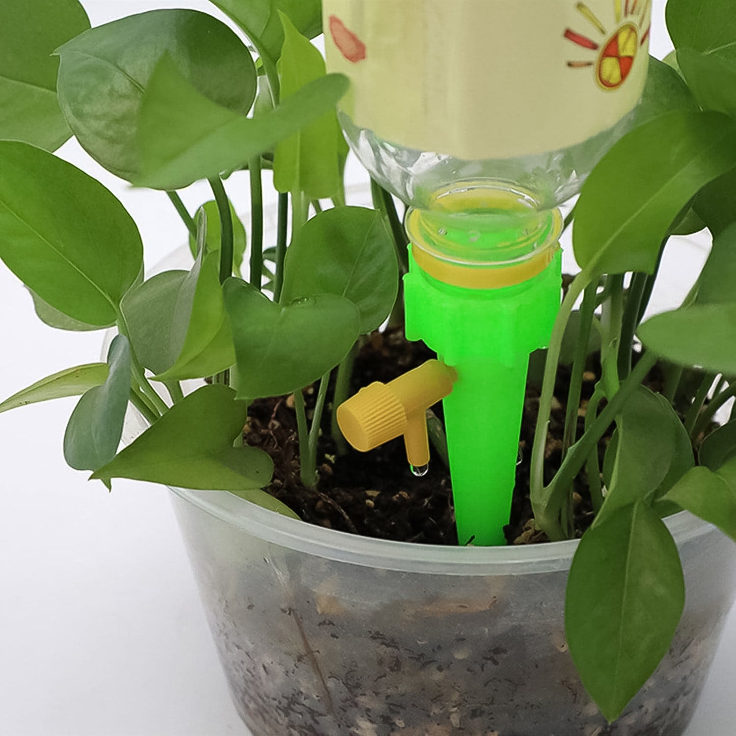 Green Plant Watering Spikes Self Watering Spikes (1 Pc) - Happy Price - Image 4