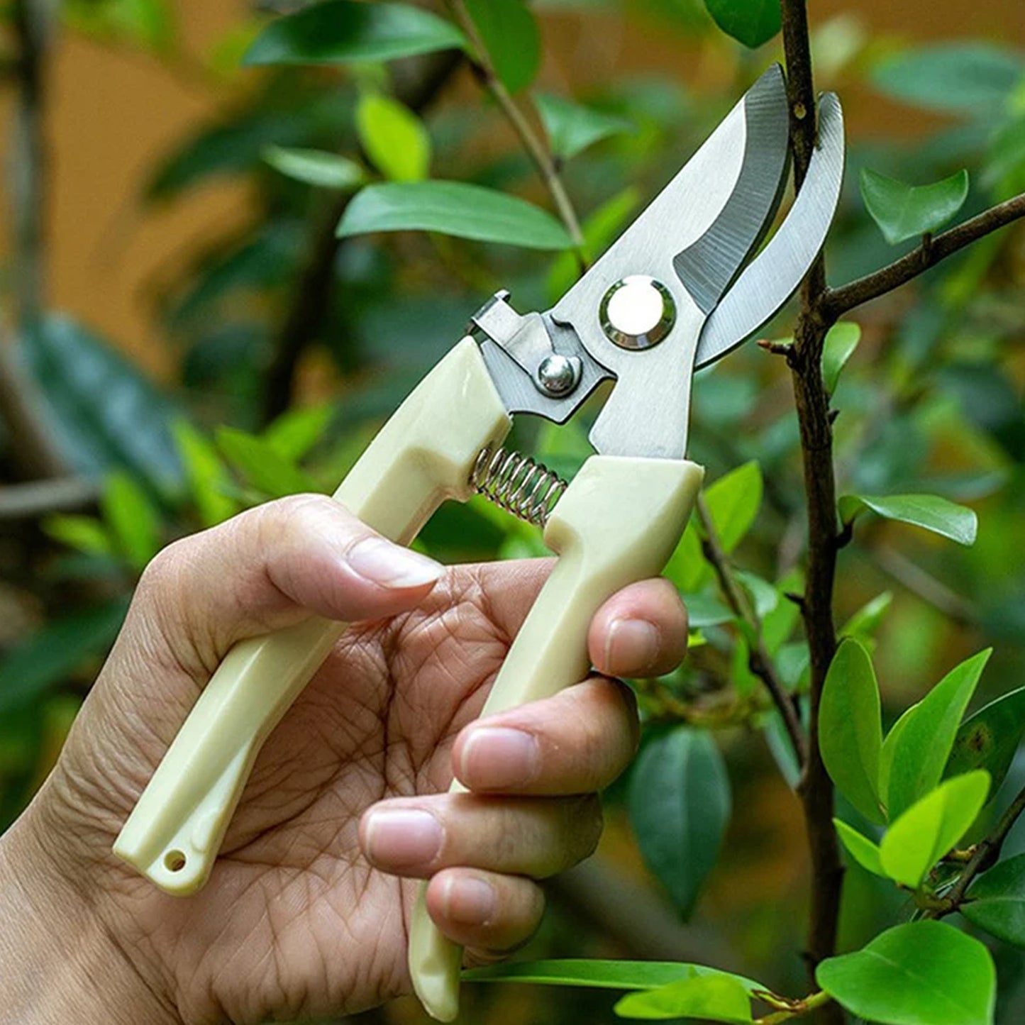 Stainless Steel Pruning Shears With Sharp Blades And Comfortable Handle - Durable Hand Pruner For Comfortable And Easy Cutting Heavy Duty Gardening Cutter Tool Plant Cutter For Home Garden  Wood Bran (1 Pc) - Happy Price - Image 2