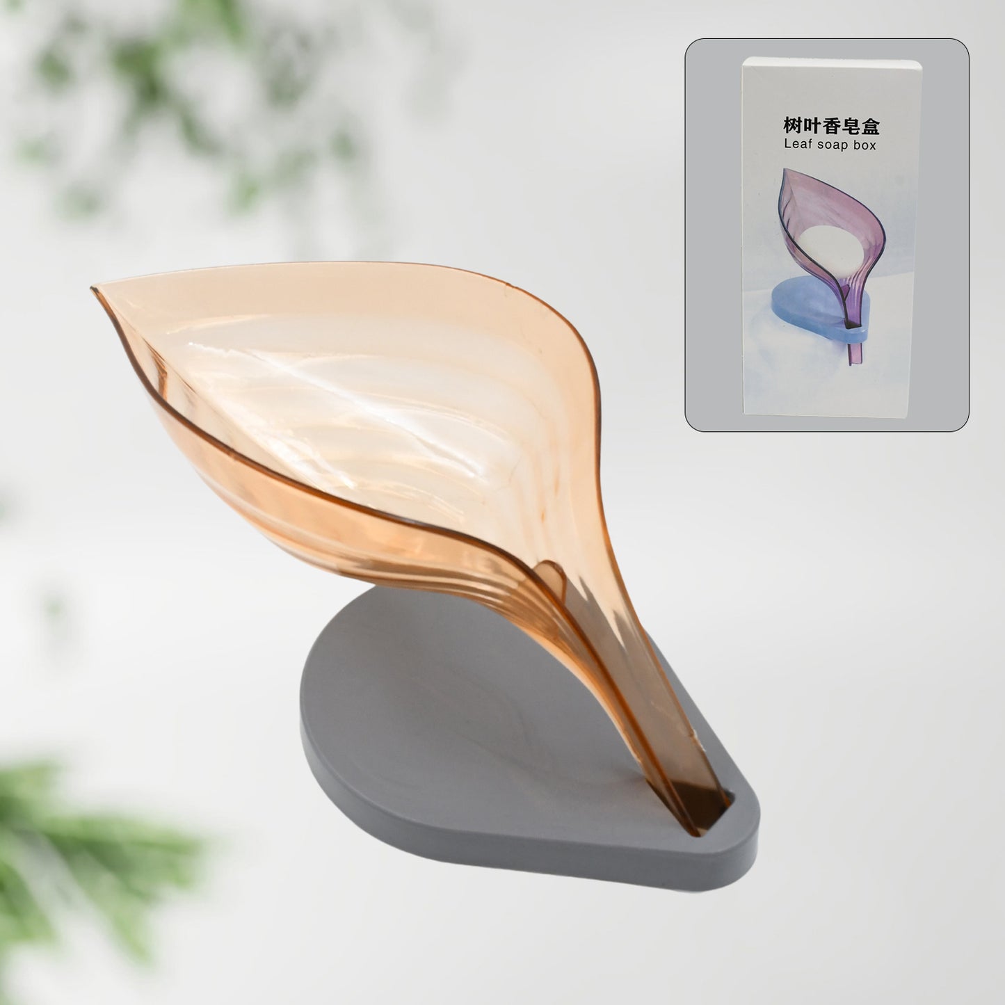 Plasticleaf Shape Soap Box  Soap Holder (1 Pc  With Color Box) - Happy Price - Image 2