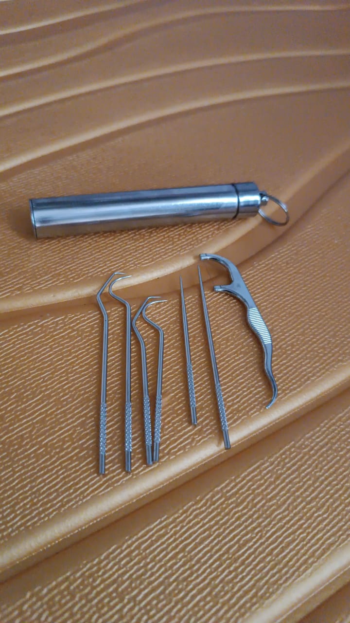 7 In 1 Stainless Steel Toothpick Flossier Set (1 Set  With Case) - Happy Price - Image 7