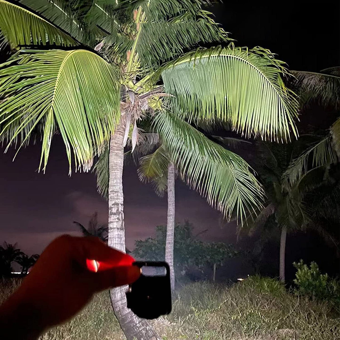 led battery Operated Keychain Flashlight Small Work Light Withfolding Bracket Bottle Opener For Camping Hiking Emergency (1 Pc  Moq - 36 Pcs) - Happy Price - Image 4