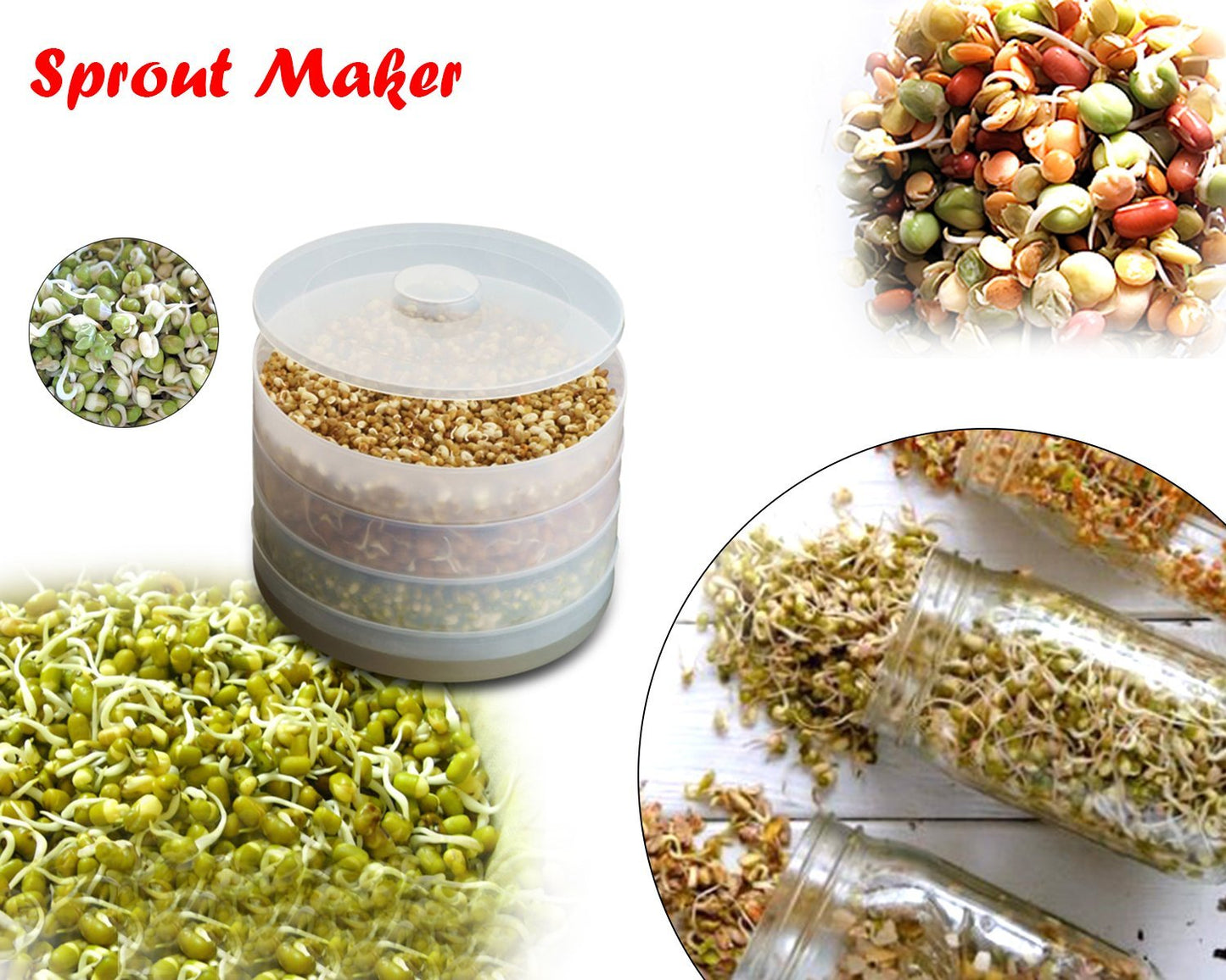 Plastic 4 Compartment Sprout Maker White - Happy Price - Image 3