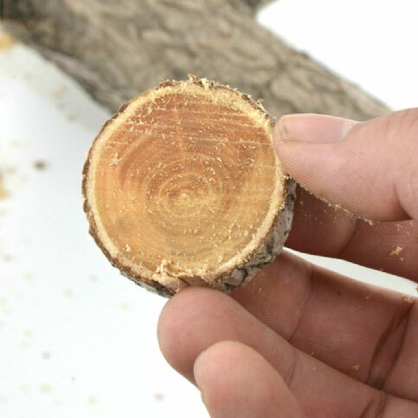 High Carbon Steel Tree Pruning Saw 270 Mm Cutter - Happy Price - Image 3