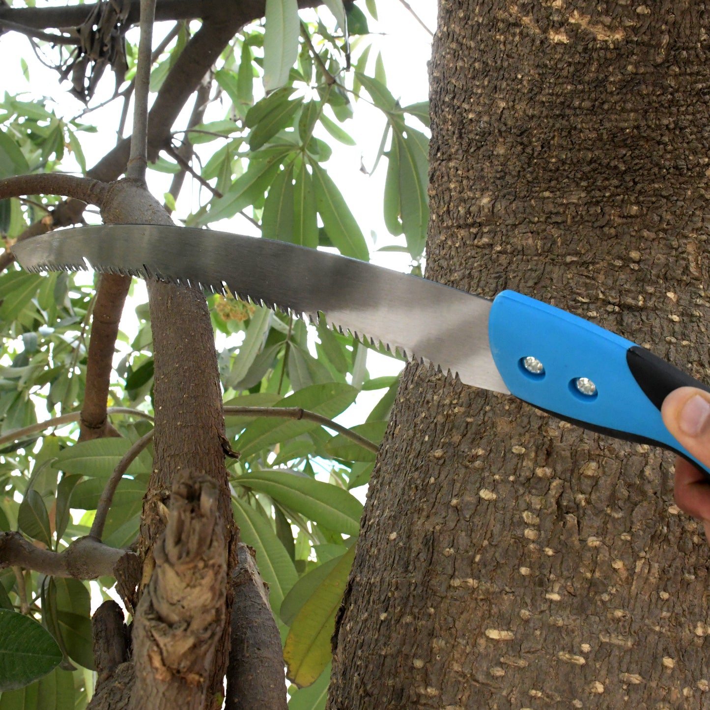 7566 20 Inch Pruning Saw With High Carbon Steel Hand Saw Edge Sharpen Teeth With Cover Packing Perfect For Gardening Grass Tree Cutting Plants Shrubs Wood Branch Cut - Happy Price - Image 2