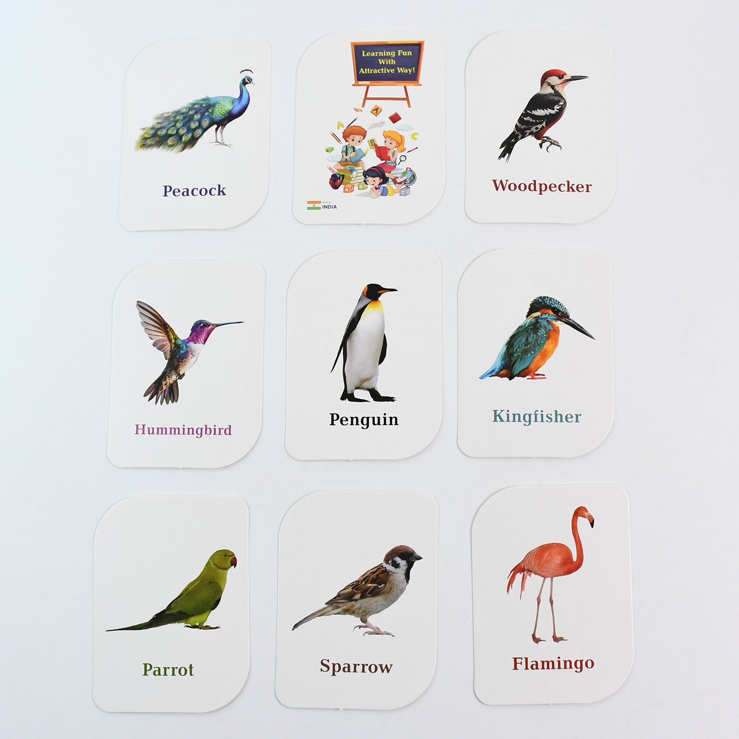 Kidkraft Early Learner Educational Flashcards  32 Birds - Happy Price - Image 2