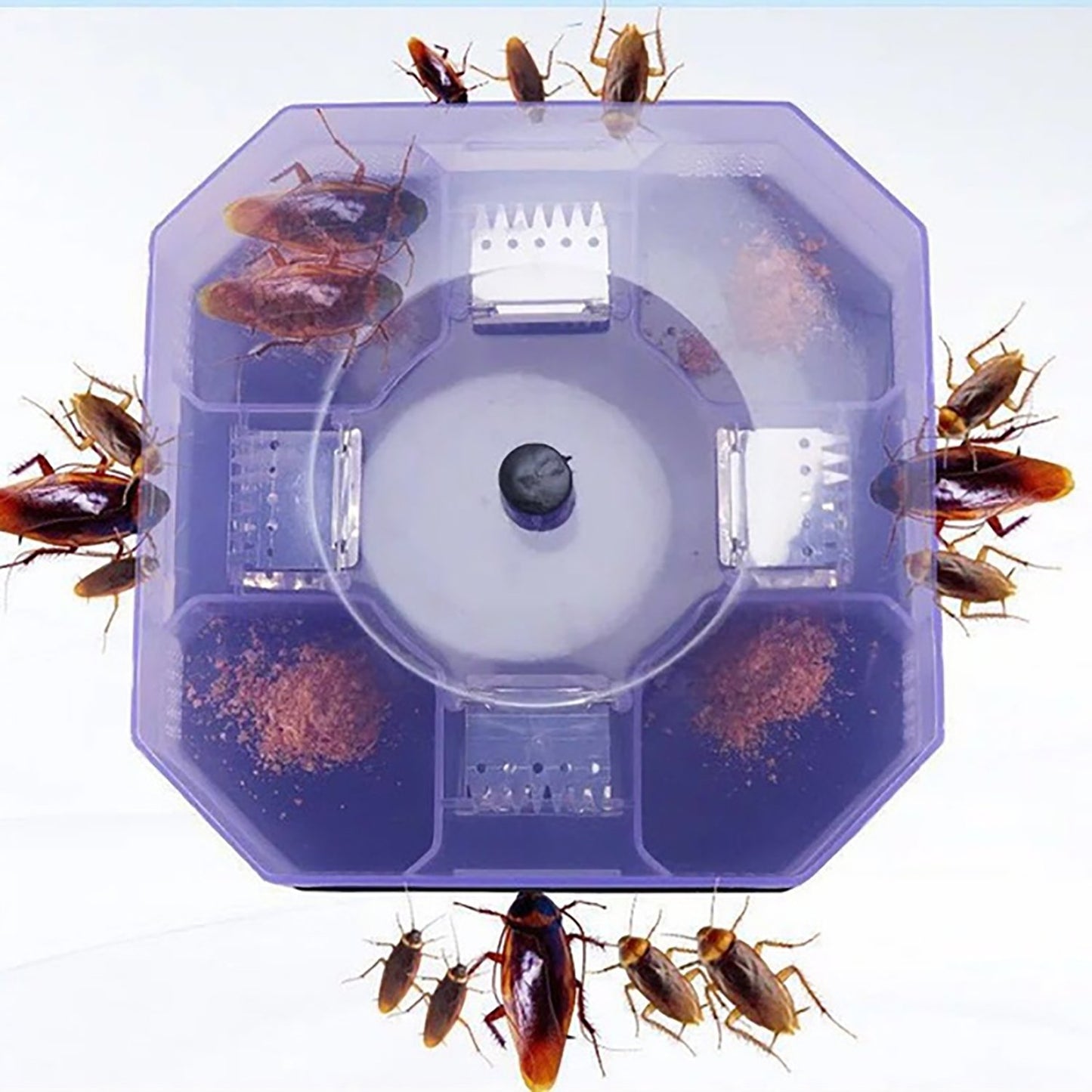 Cockroach Traps Box Cockroach Bug Roach Catcher Cockroach Killer - Happy Price - Image 6