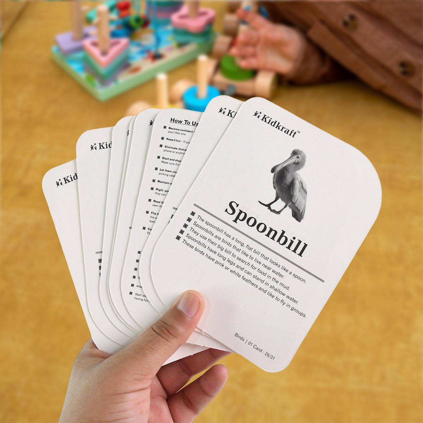 Kidkraft Early Learner Educational Flashcards  32 Birds - Happy Price - Image 4