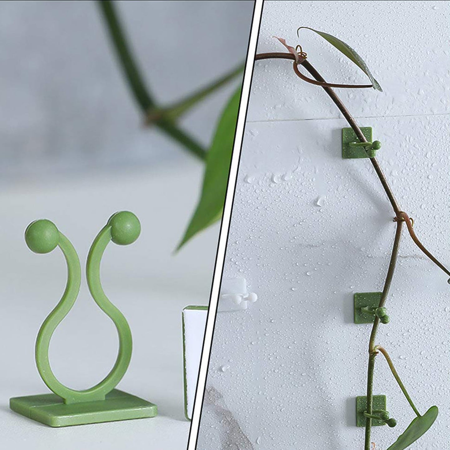Plant Climbing Wall Fixture Clip Self-adhesive Hook (40 Pcs Set  With Plastic Box) - Happy Price - Image 5