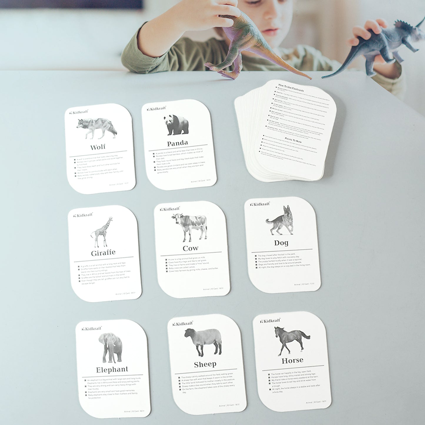 Kidkraft 32-piece Animal Flash Cards Set - Happy Price - Image 3