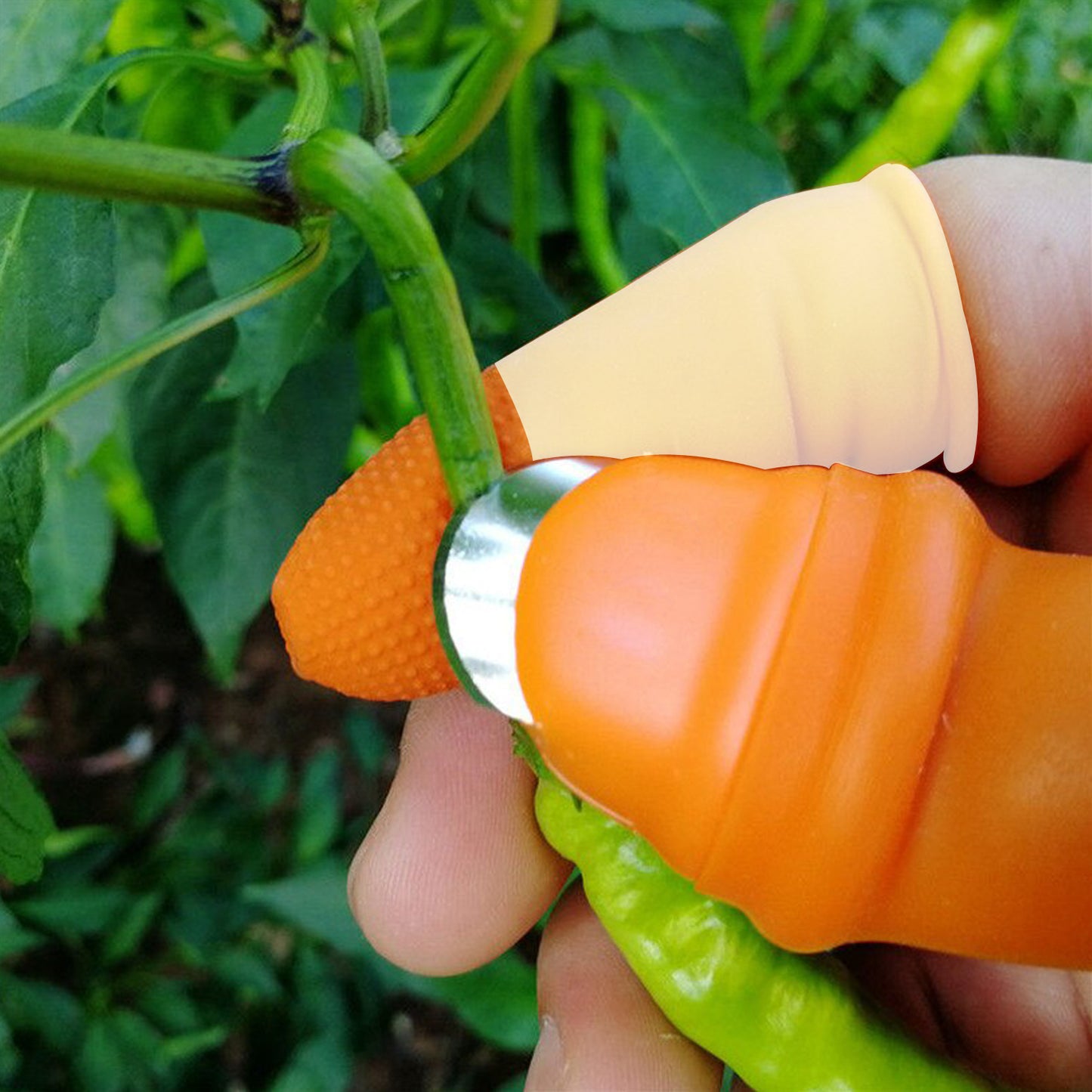 Vegetable Thumb Cutter And Tool 5pc Set With Effective Sharp Cutting Blade System - Happy Price - Image 4