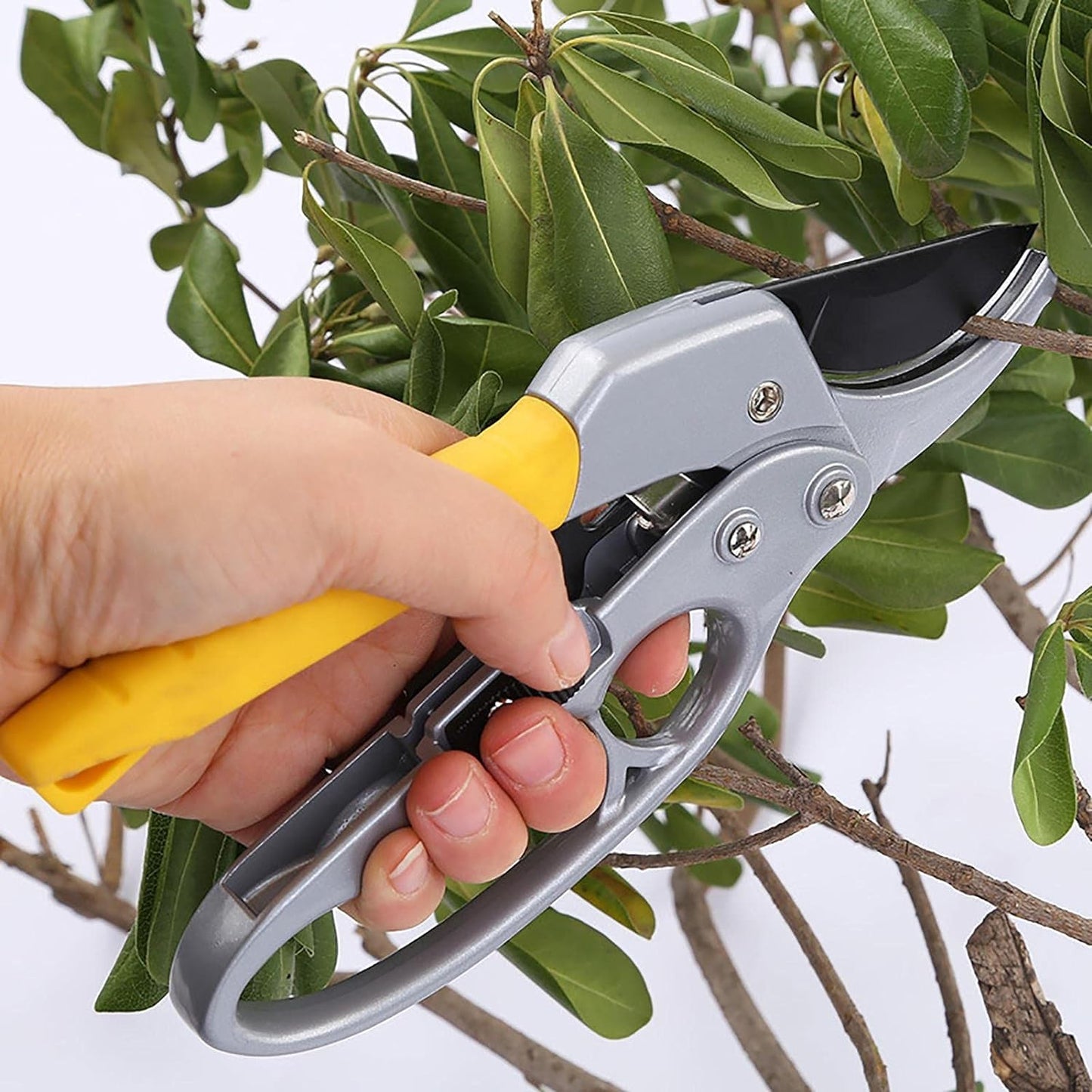Gardening Shears Enhanced Garden Shears Pruning Machine (200 Mm  1 Pc) - Happy Price - Image 3