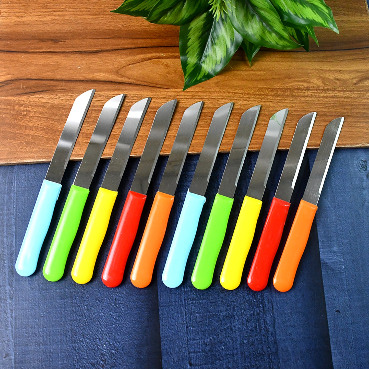 10 Pc Stainless Steel Plain Edge Kitchen Knife Set with Plastic Handles