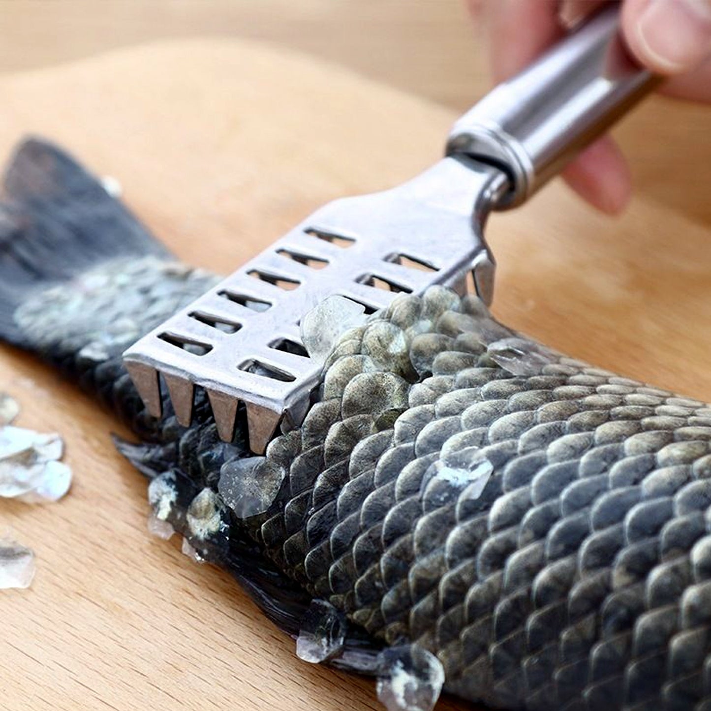 Fish Scale Remover Scraper Stainless Steel Fish Cutting Tools Sawtooth Easily Remove Fish Scales-cleaning Brush Scraper Kitchen Tool- - Happy Price - Image 3