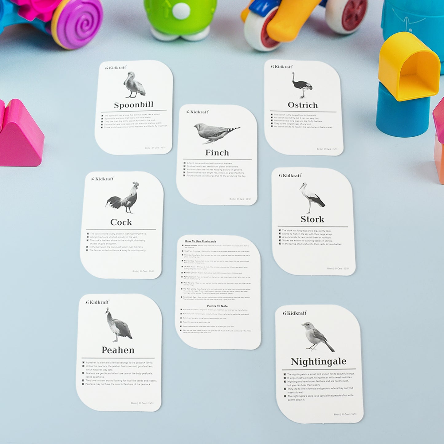 Kidkraft Early Learner Educational Flashcards  32 Birds - Happy Price - Image 5