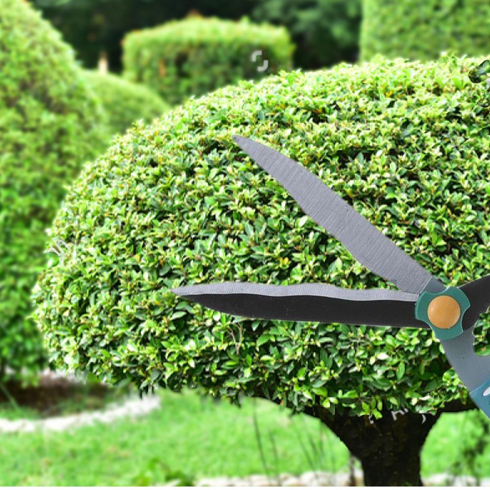 Garden Big Scissor - Happy Price - Image 2