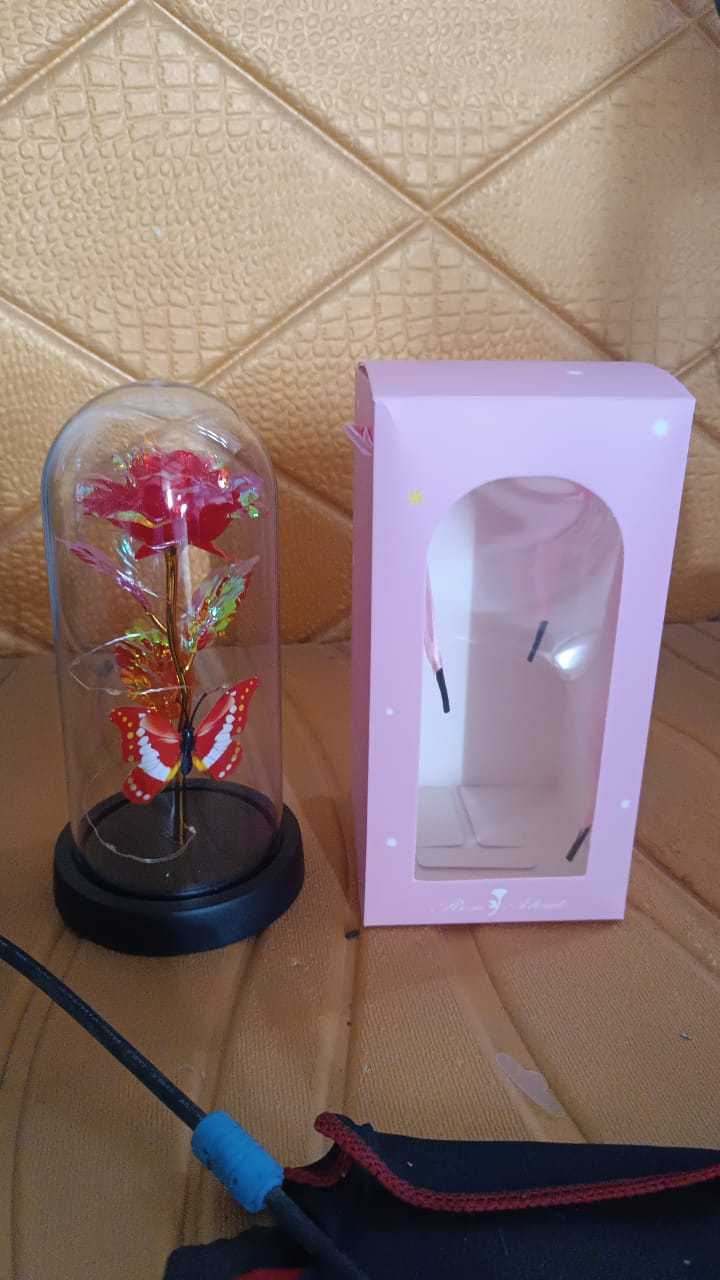 Elegant Led Eternal Rose In Plastic Dome (1 Pc  Battery Not Included) - Happy Price - Image 7