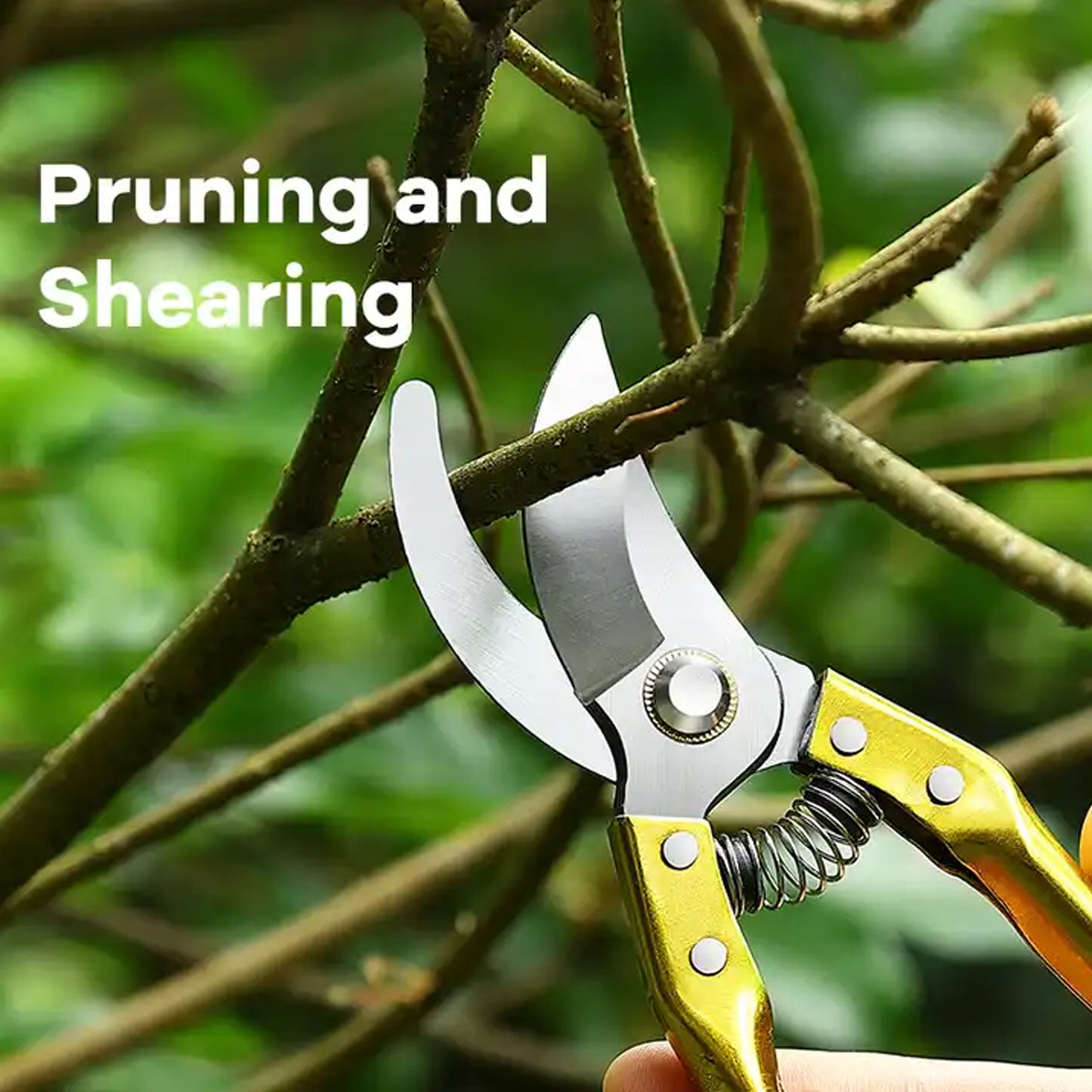 Gardening Tools - Garden Shears Pruners Scissor (1 Pc) - Happy Price - Image 4