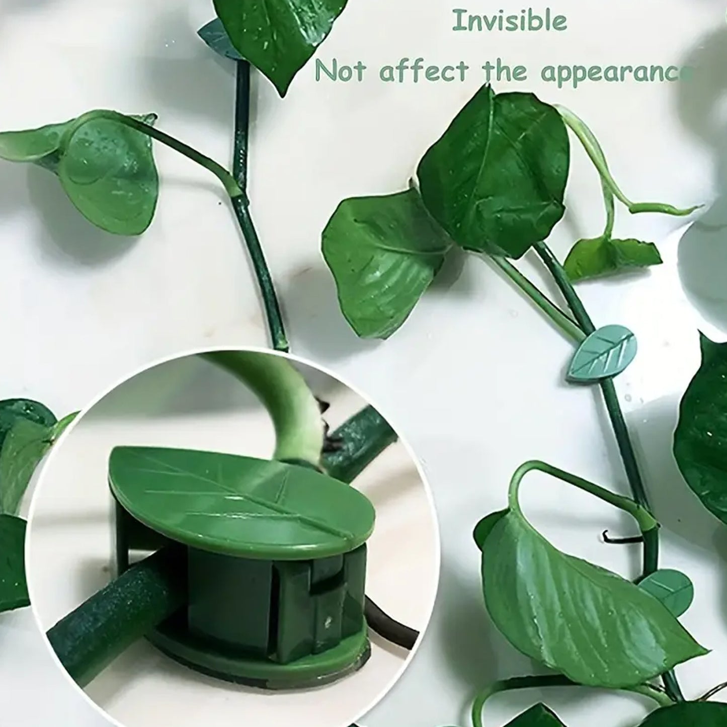 Plant Climbing Wall Fixture Clip Self-adhesive Hook Vines Traction Invisible Stand Green Plant Clip Garden Wall Clip Plant Support Binding Clip Plants For Indoor Outdoor Decoration (10 Pcs Set) - Happy Price - Image 2