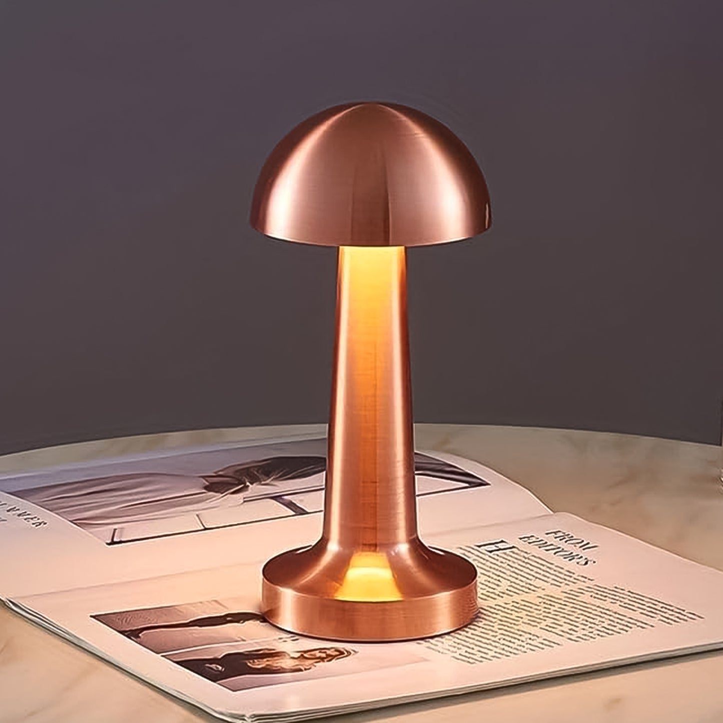 Led Lamp With Touch Control  Decorative Desk Lamp Portable Metal Led Table Lamp - Happy Price - Image 3