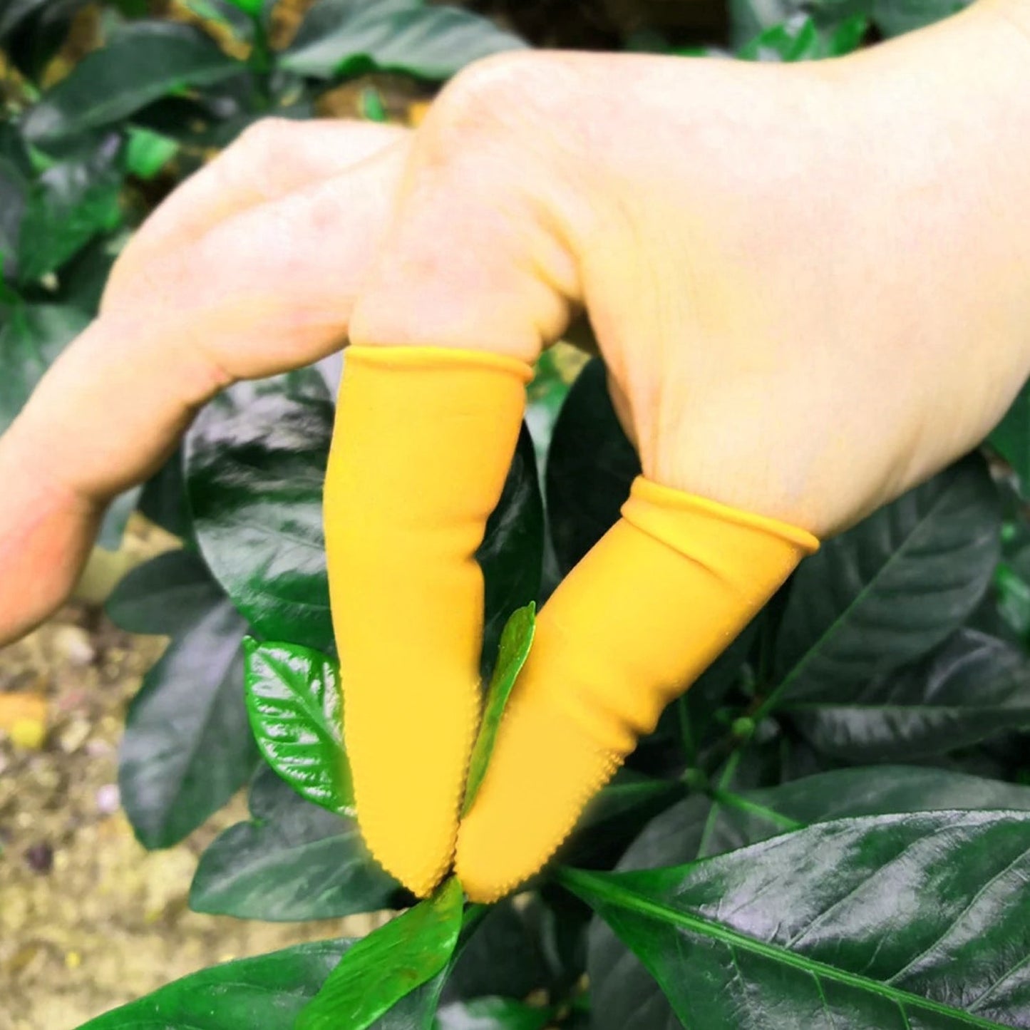 Finger Caps Silicone Finger Protectors Sleeves (Finger Cots  145 Pcs Set Approx) - Happy Price - Image 3