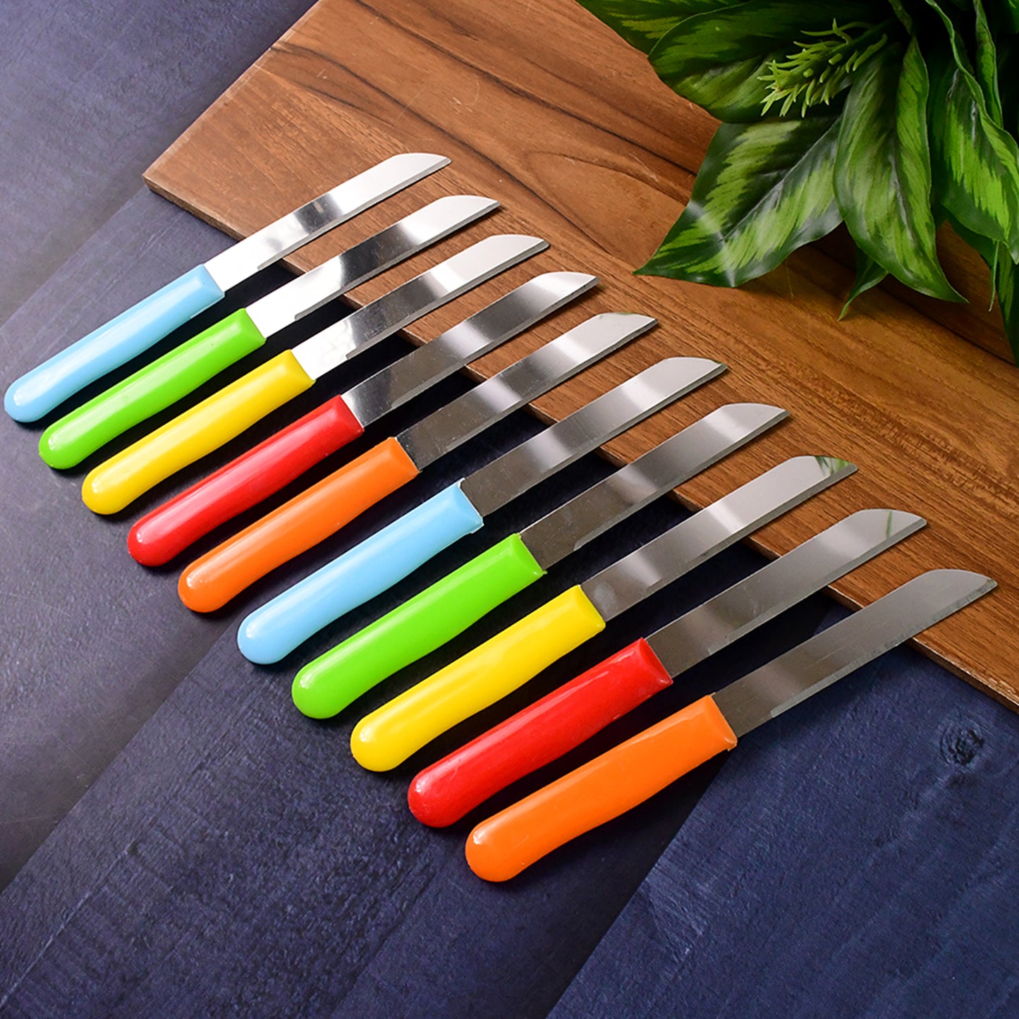 10 Pc Stainless Steel Plain Edge Kitchen Knife Set with Plastic Handles