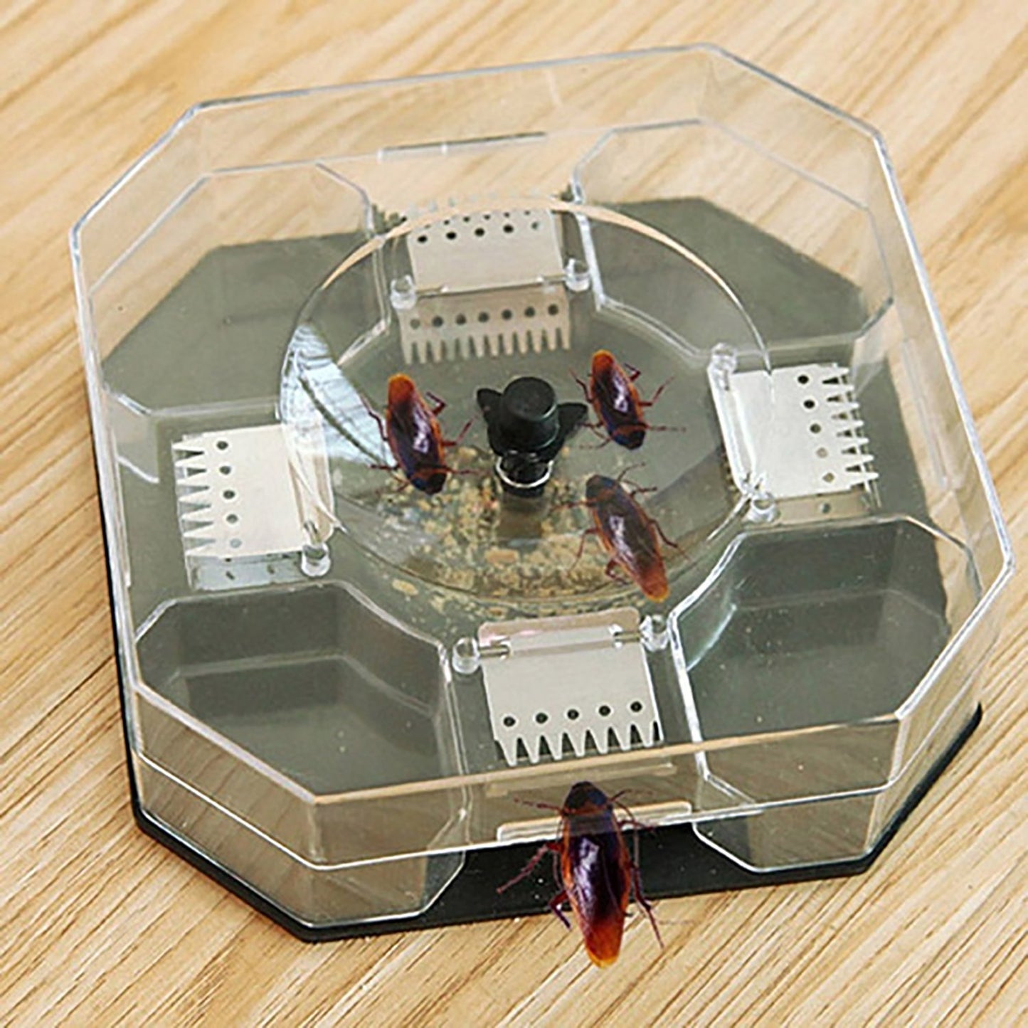 Cockroach Traps Box Cockroach Bug Roach Catcher Cockroach Killer - Happy Price - Image 2