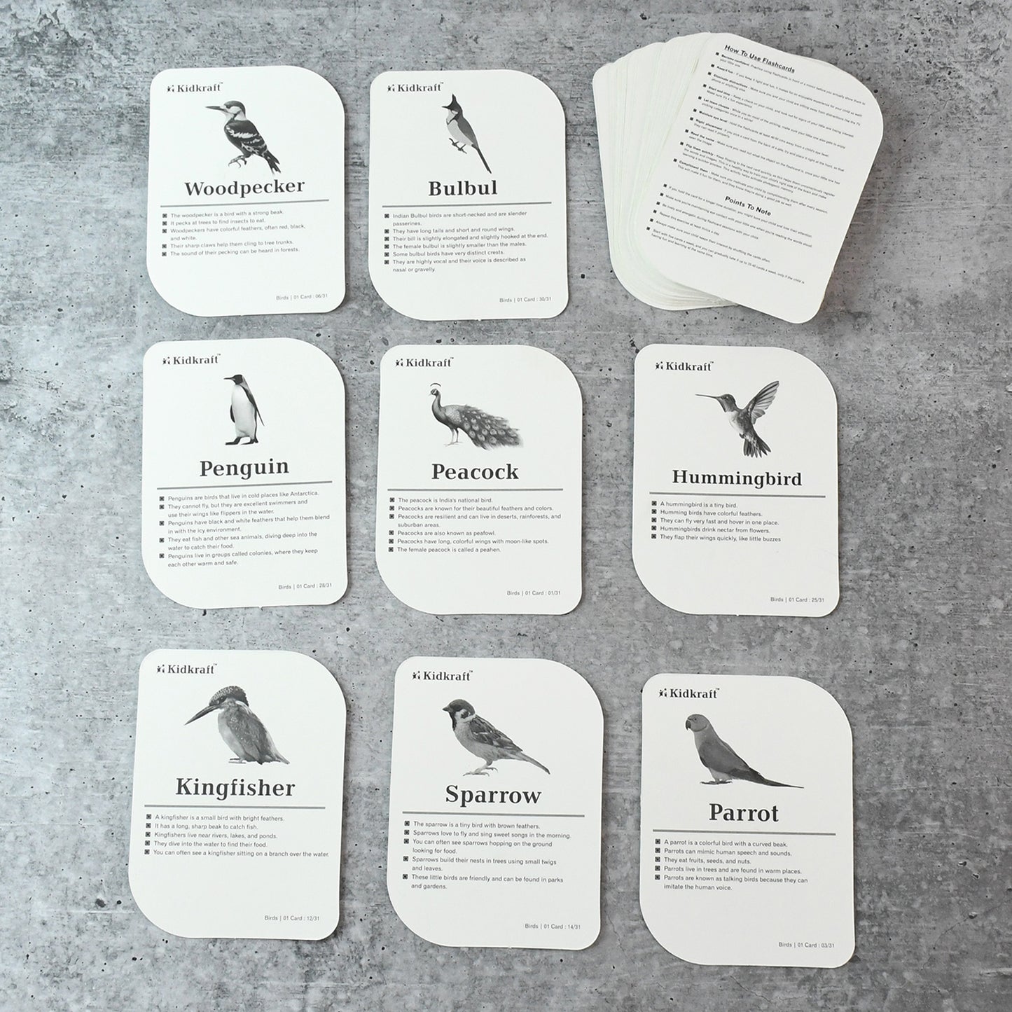 Kidkraft Early Learner Educational Flashcards  32 Birds - Happy Price - Image 3
