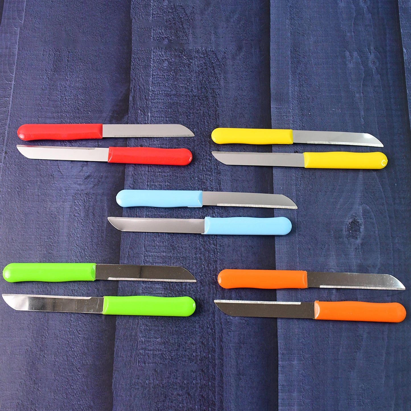 10 Pc Stainless Steel Plain Edge Kitchen Knife Set with Plastic Handles