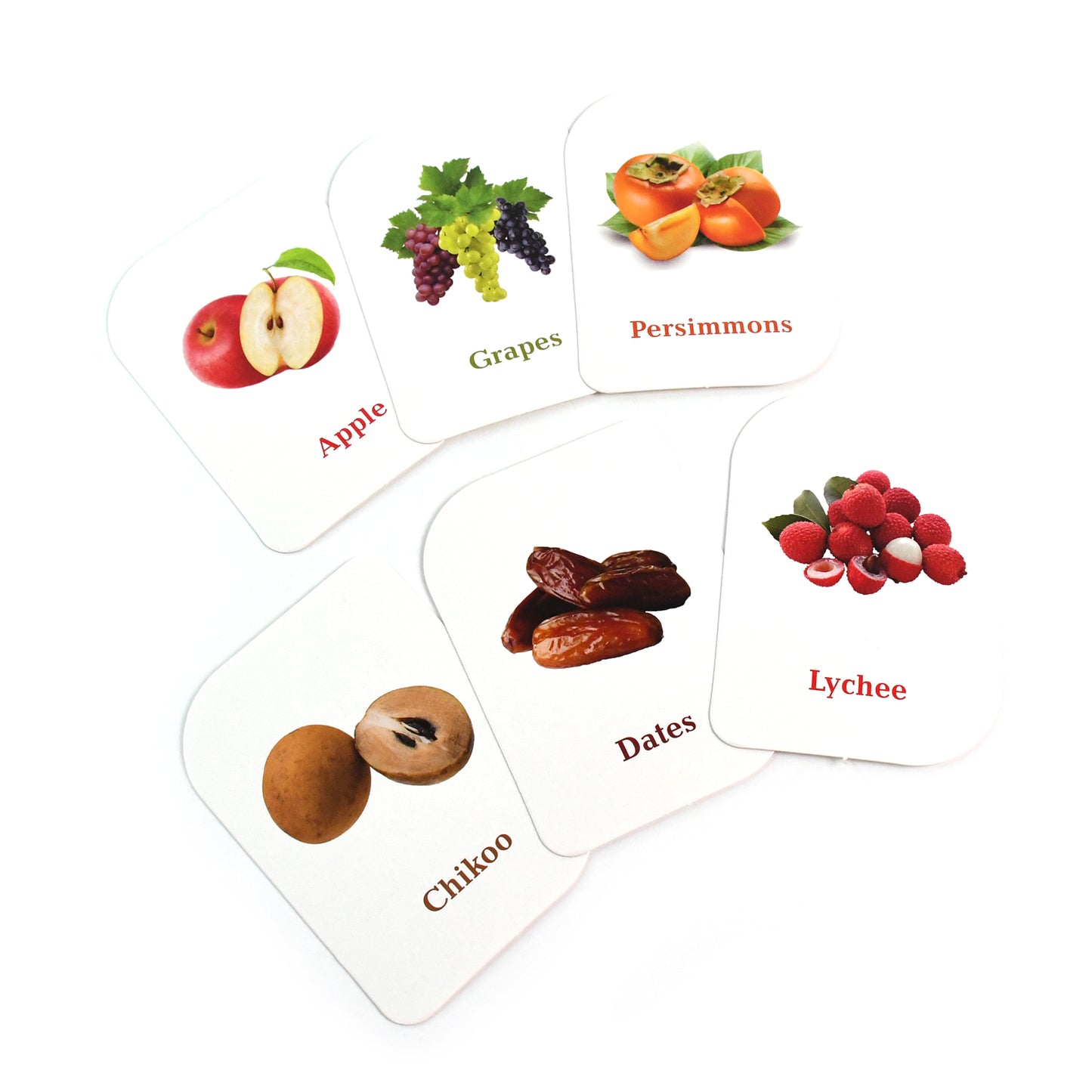 Kidkraft Early Learner Educational Flashcards  32 Birds - Happy Price - Image 2